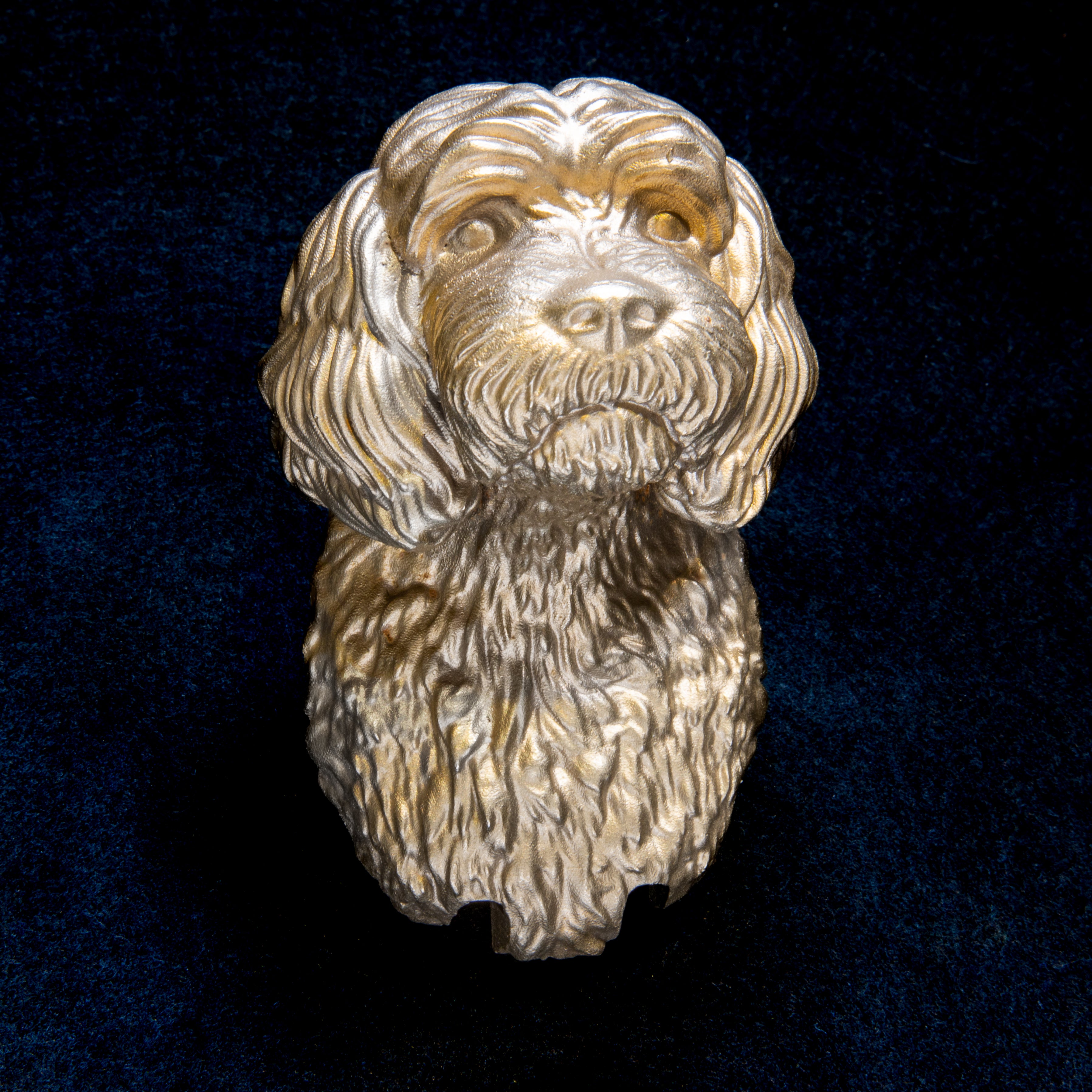 Dogs collection: Cavapoo door knocker head on navy cloth, nose tipped up, long wavy ears and a shaggy chest
