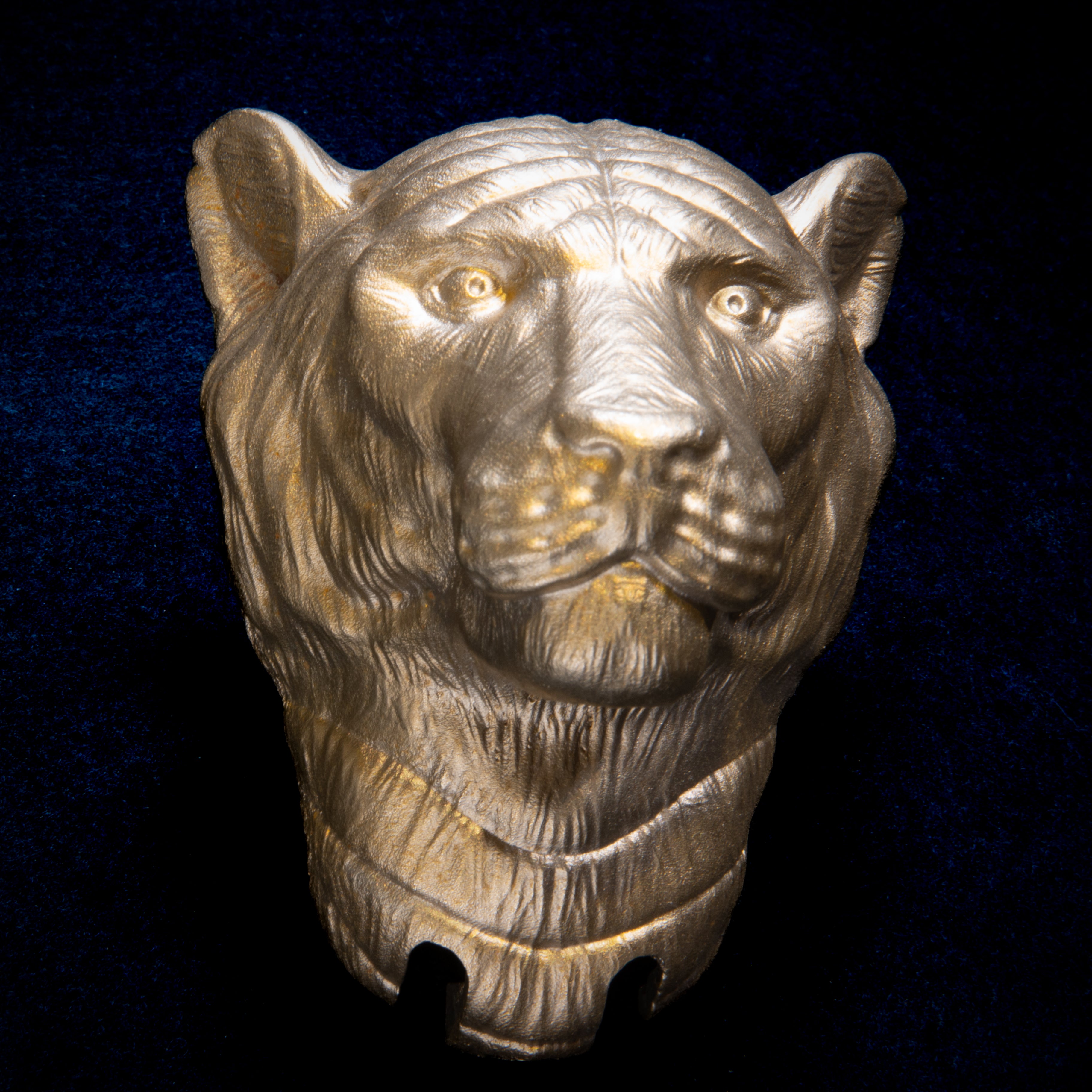 Cats collection: Tiger door knocker head on navy cloth, front view, ears up, whiskered muzzle and folds of fur at the neck