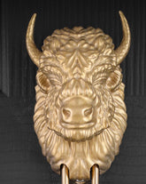Beardless Bison interchangeable brass knocker head, front view