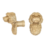 Cavapoo brass cabinet knob and coat hook, cut out on white
