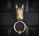 English Bull Terrier brass door knocker on a black panelled door, straight on, egg-shaped head with tall pointed ears