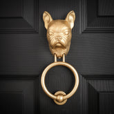 French Bulldog brass door knocker on a black panelled door, straight on, bat ears upright above a folded muzzle