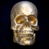 Skull interchangeable door knocker head on dark navy, hollow eye sockets, cracks across the cranium and a full set of teeth