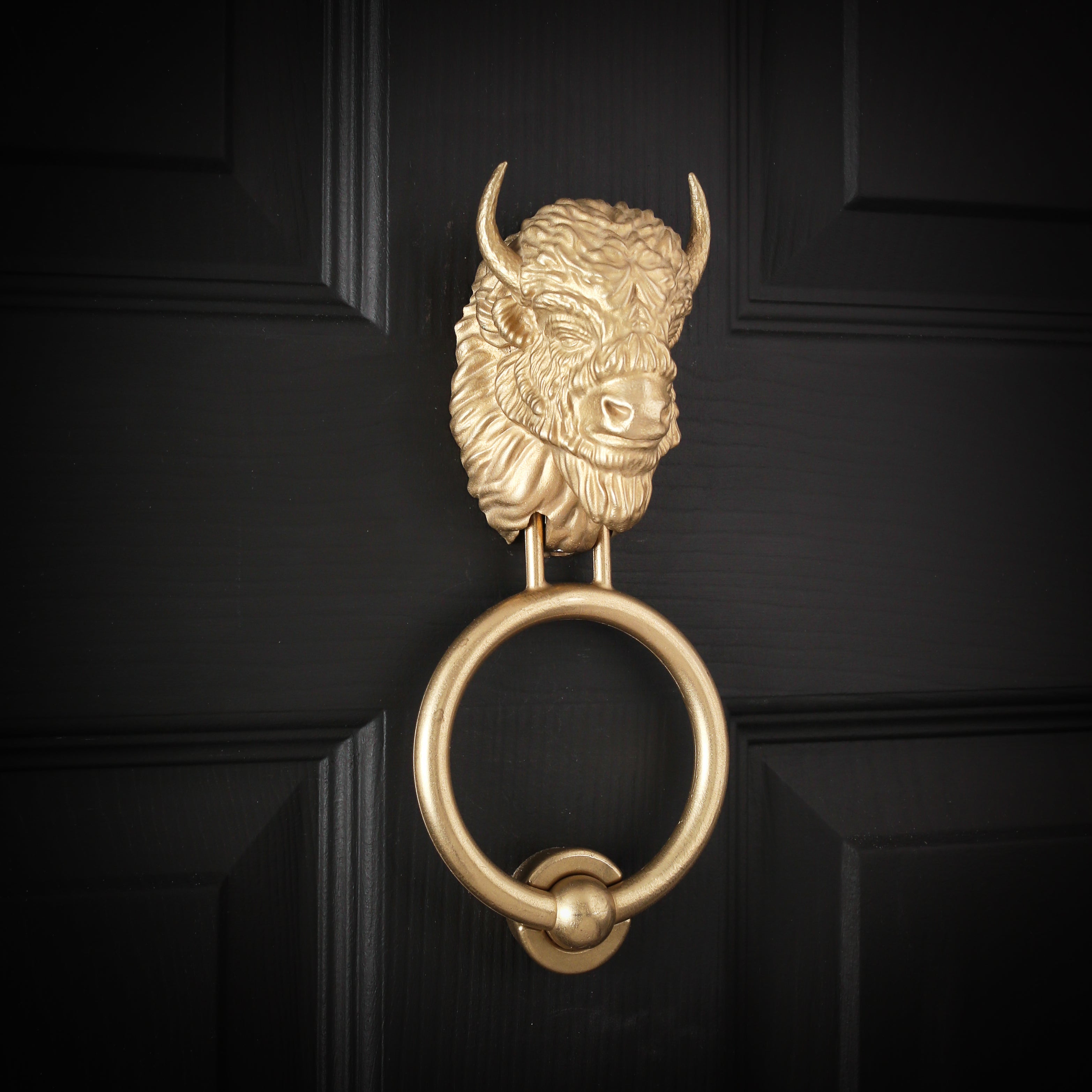 Bearded Bison brass door knocker, angled view on a black door