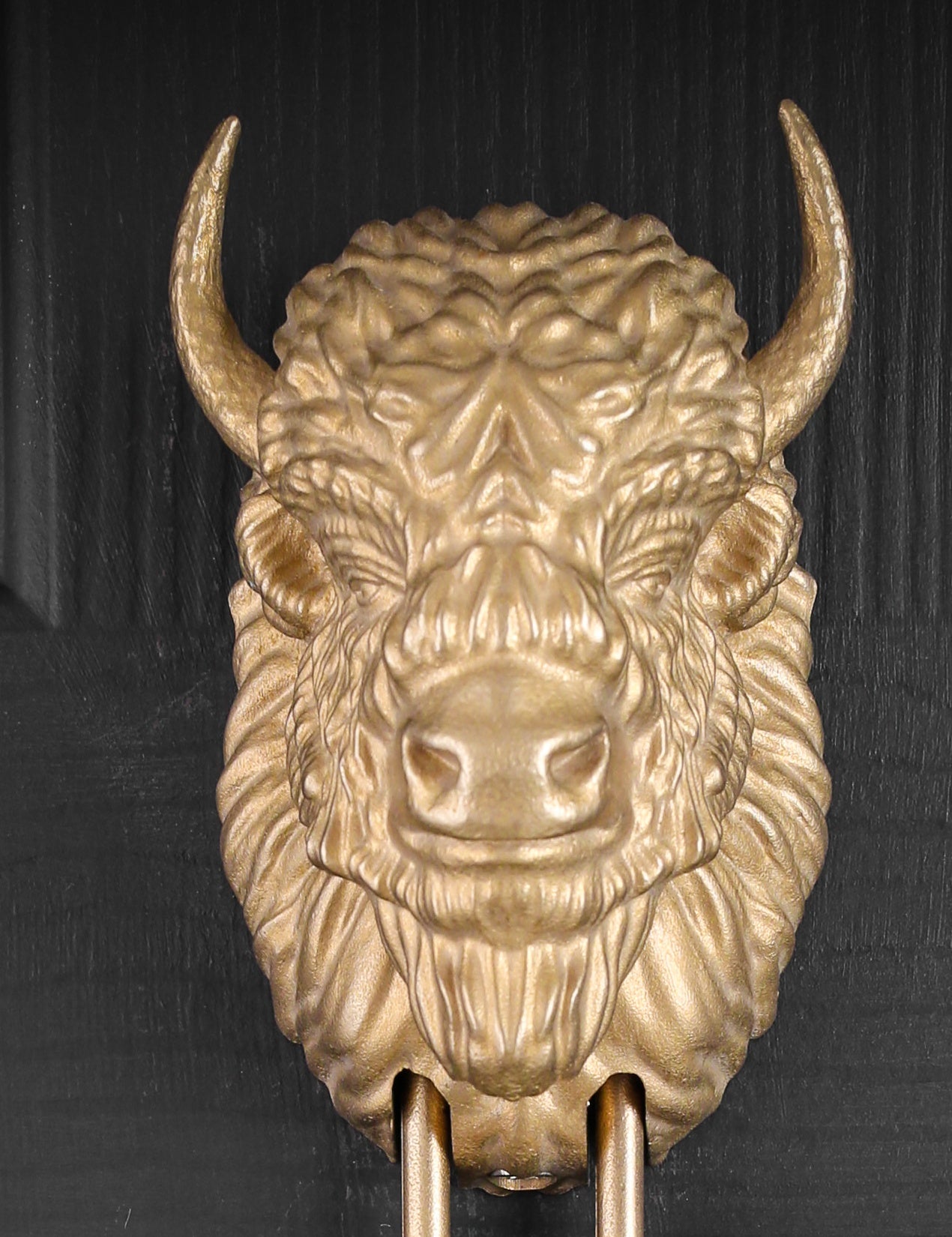 Bearded Bison interchangeable brass knocker head, front view