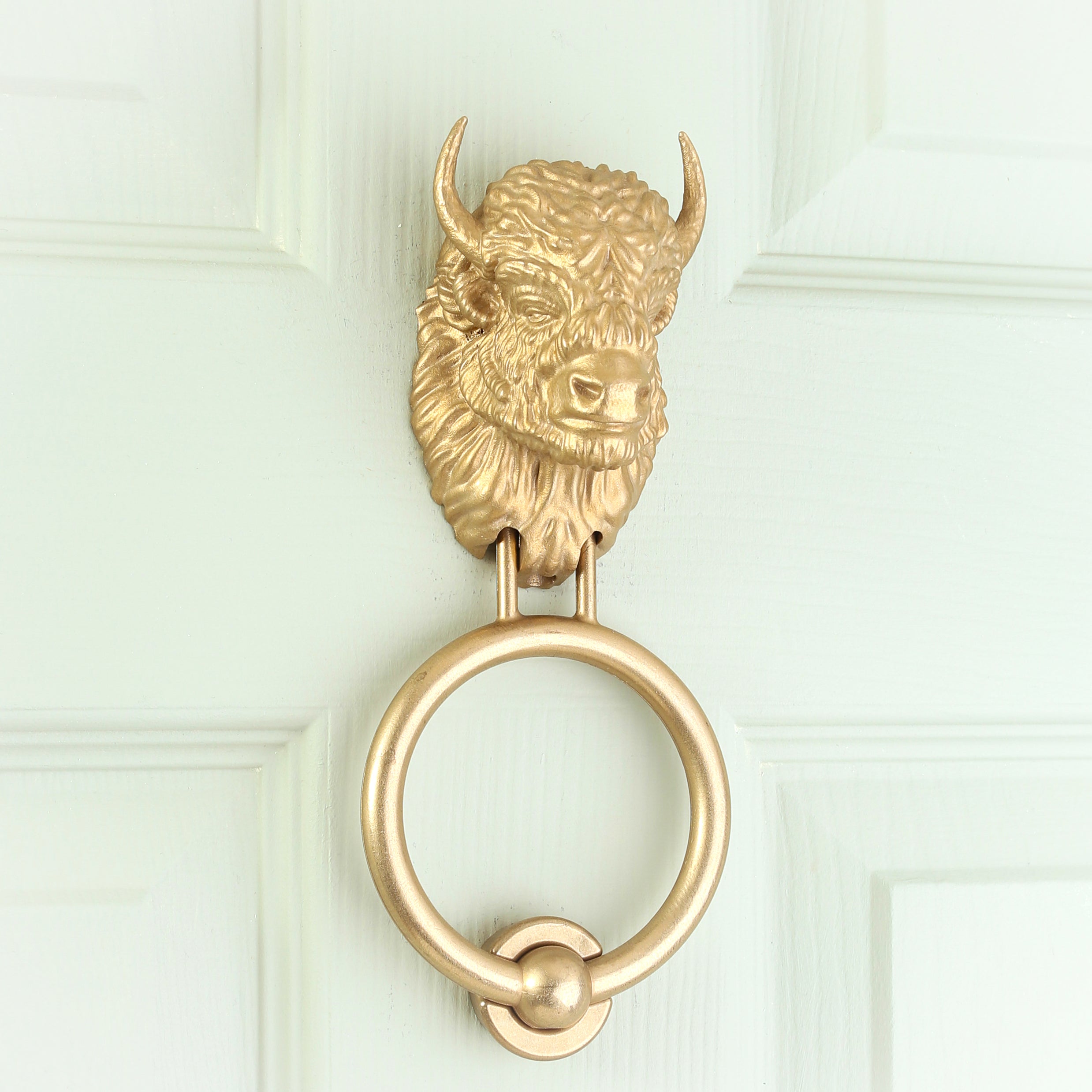 Beardless Bison brass door knocker, angled view on a pale door