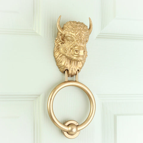 Beardless Bison brass door knocker, angled view on a pale door