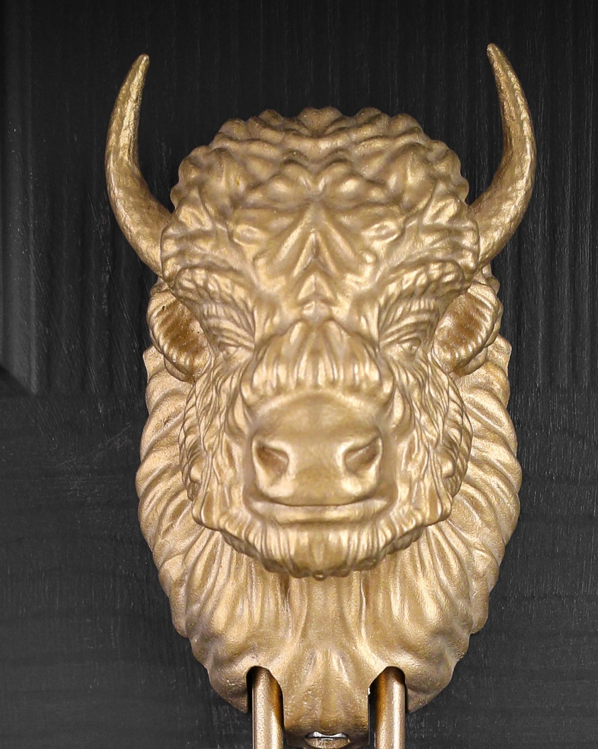Beardless Bison interchangeable brass knocker head, front view