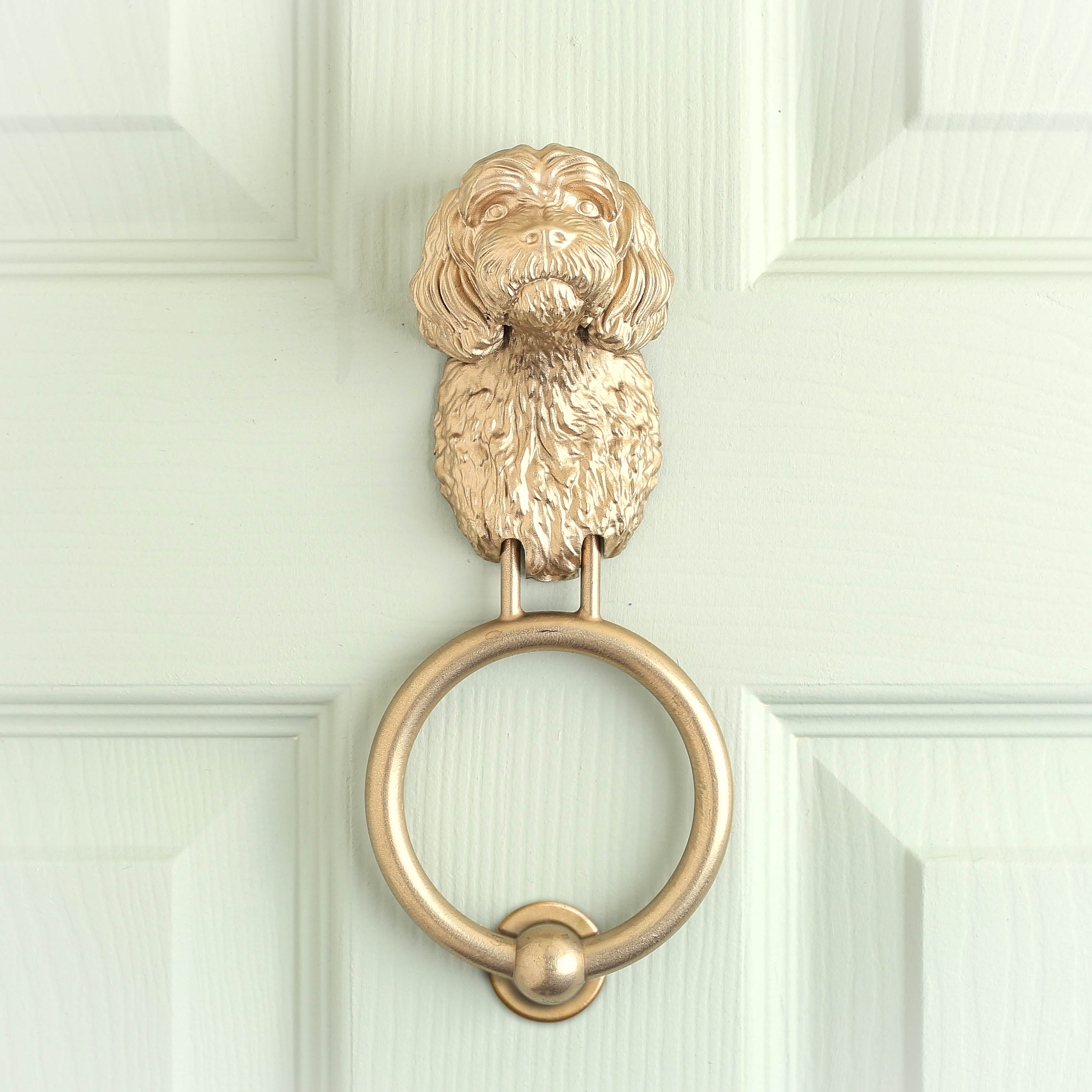 Cavapoo brass door knocker fitted to a pale front door, straight on