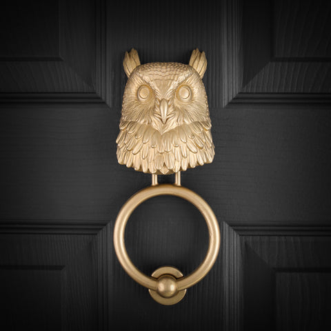 Long-Eared Owl Brass Door Knocker