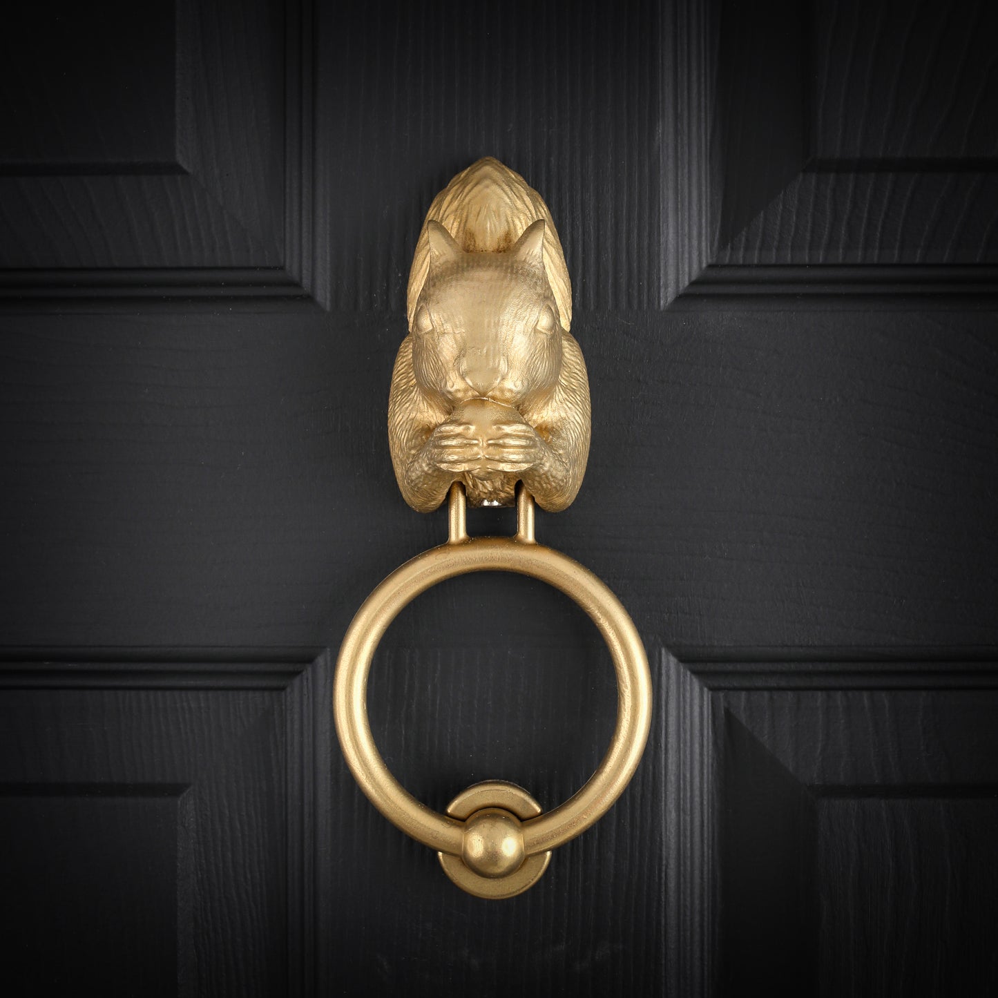 Grey Squirrel Door Knocker