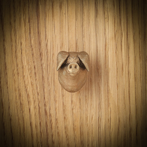 Gloucester Old Spot Brass Drawer Handle