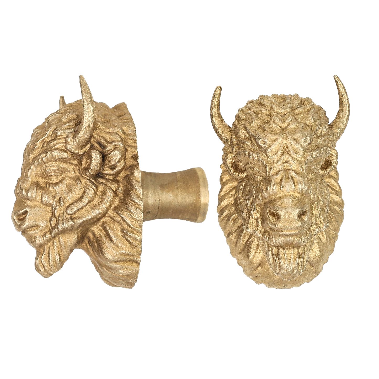 Bison (American) Brass Drawer Handle