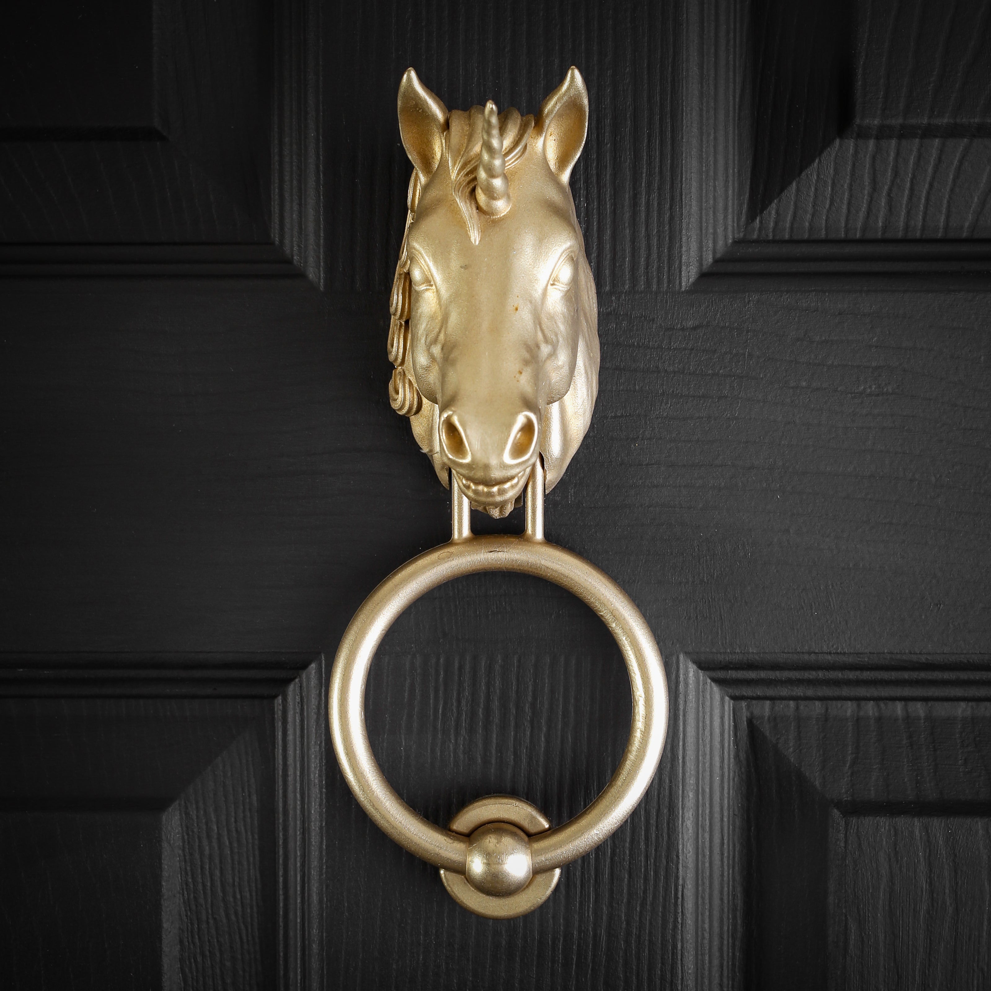 Scottish Unicorn brass door knocker on a black panelled door, straight on, horn and ears upright, ring on the strike plate