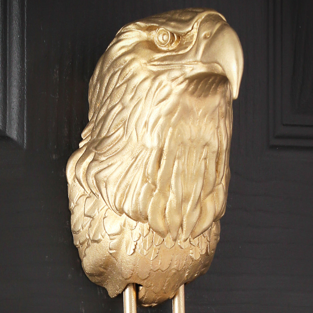 Bald Eagle Door Knocker