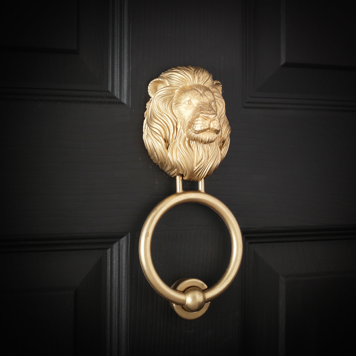 Lion Head Door Knocker