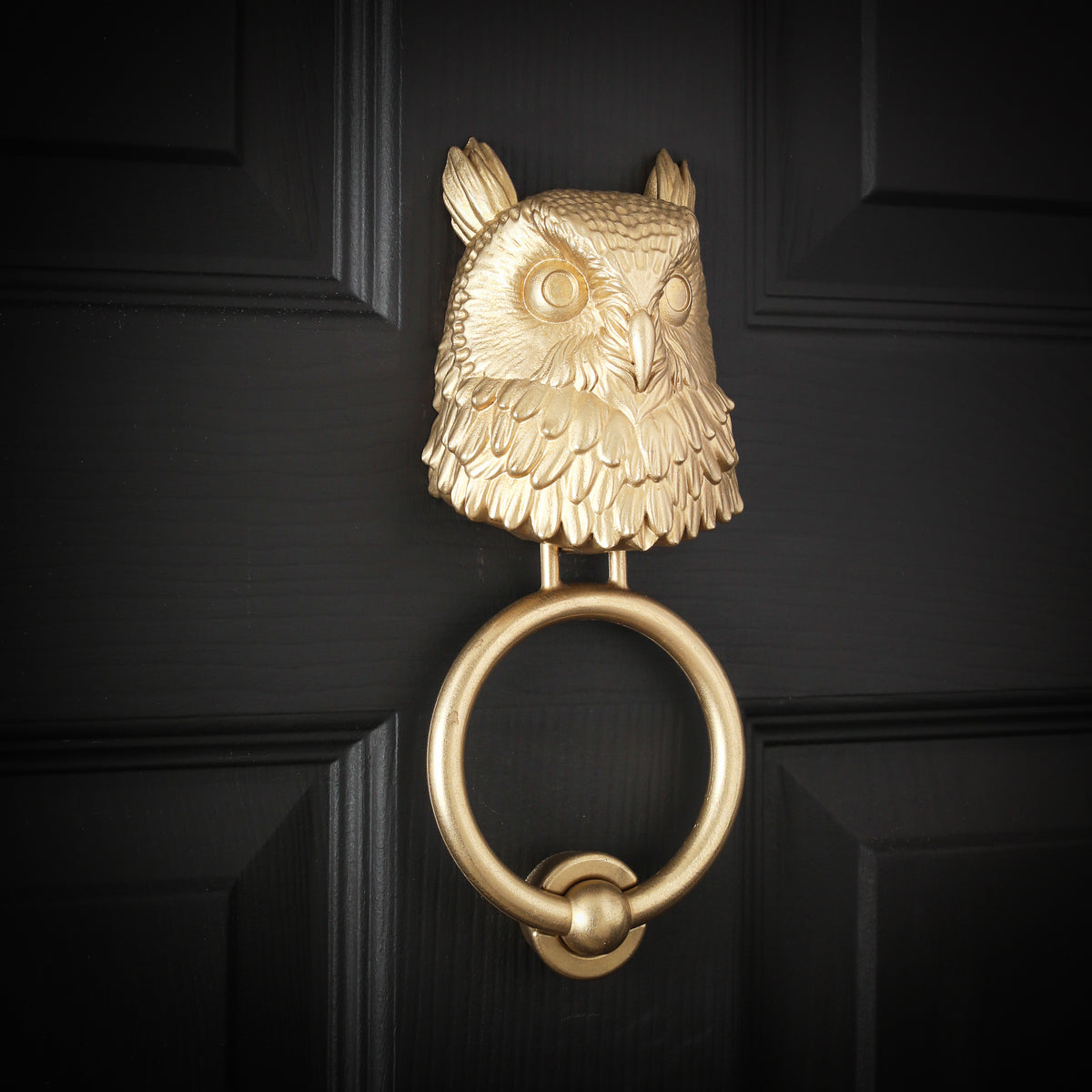 Long-Eared Owl Brass Door Knocker