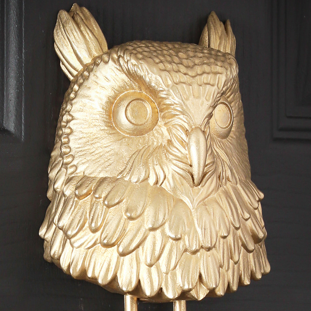 Long-Eared Owl Brass Door Knocker