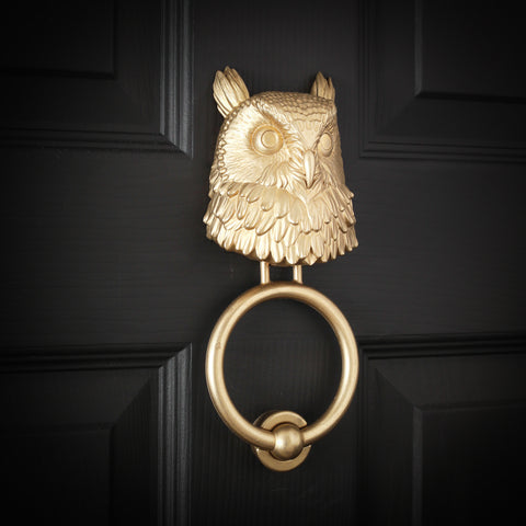Long-Eared Owl Brass Door Knocker