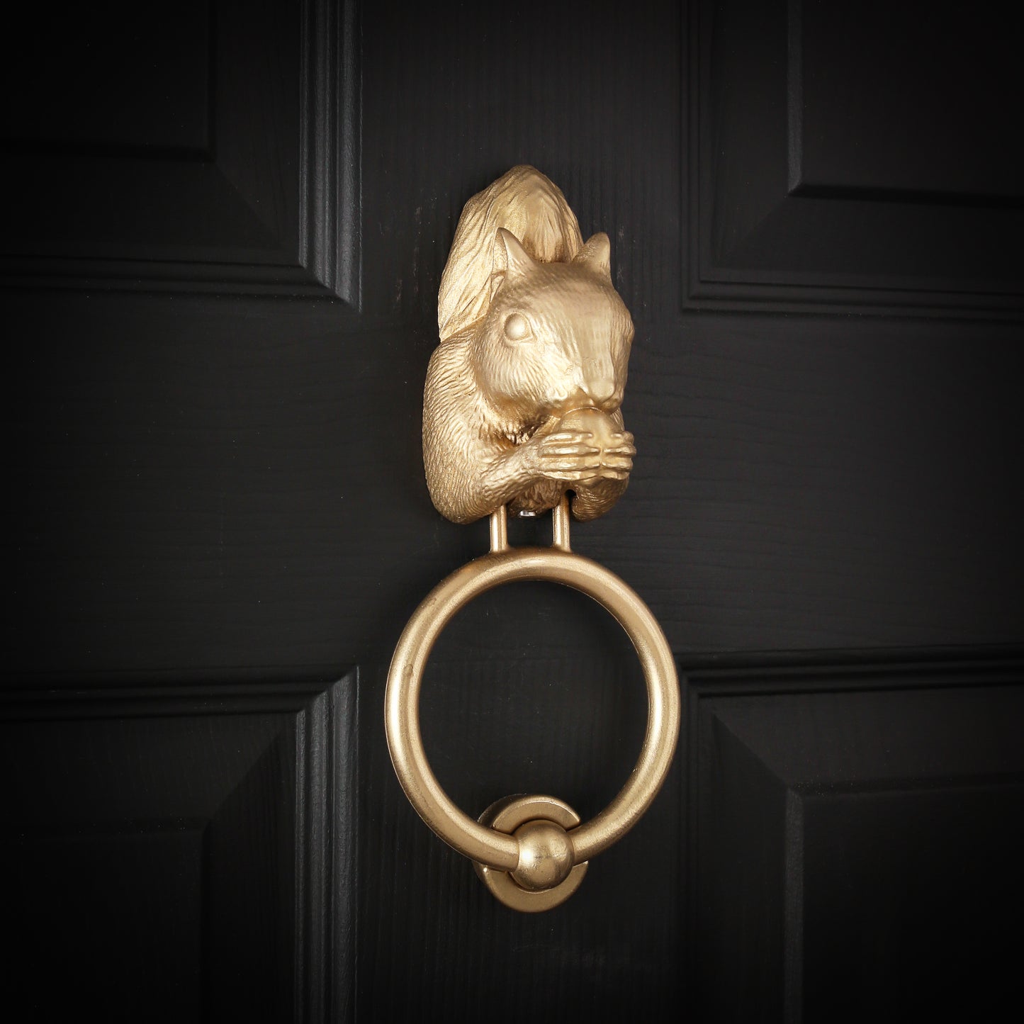 Grey Squirrel Door Knocker