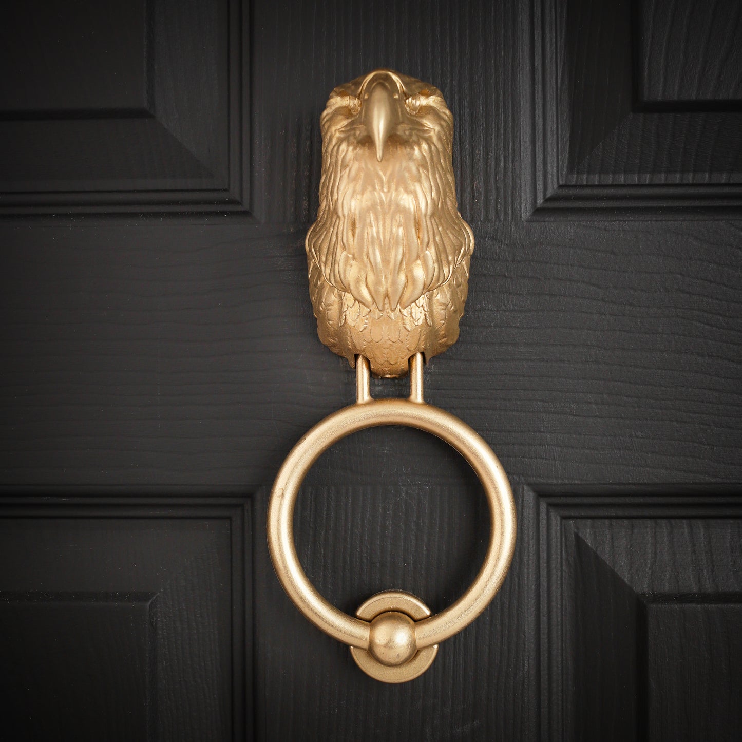 Bald Eagle Door Knocker