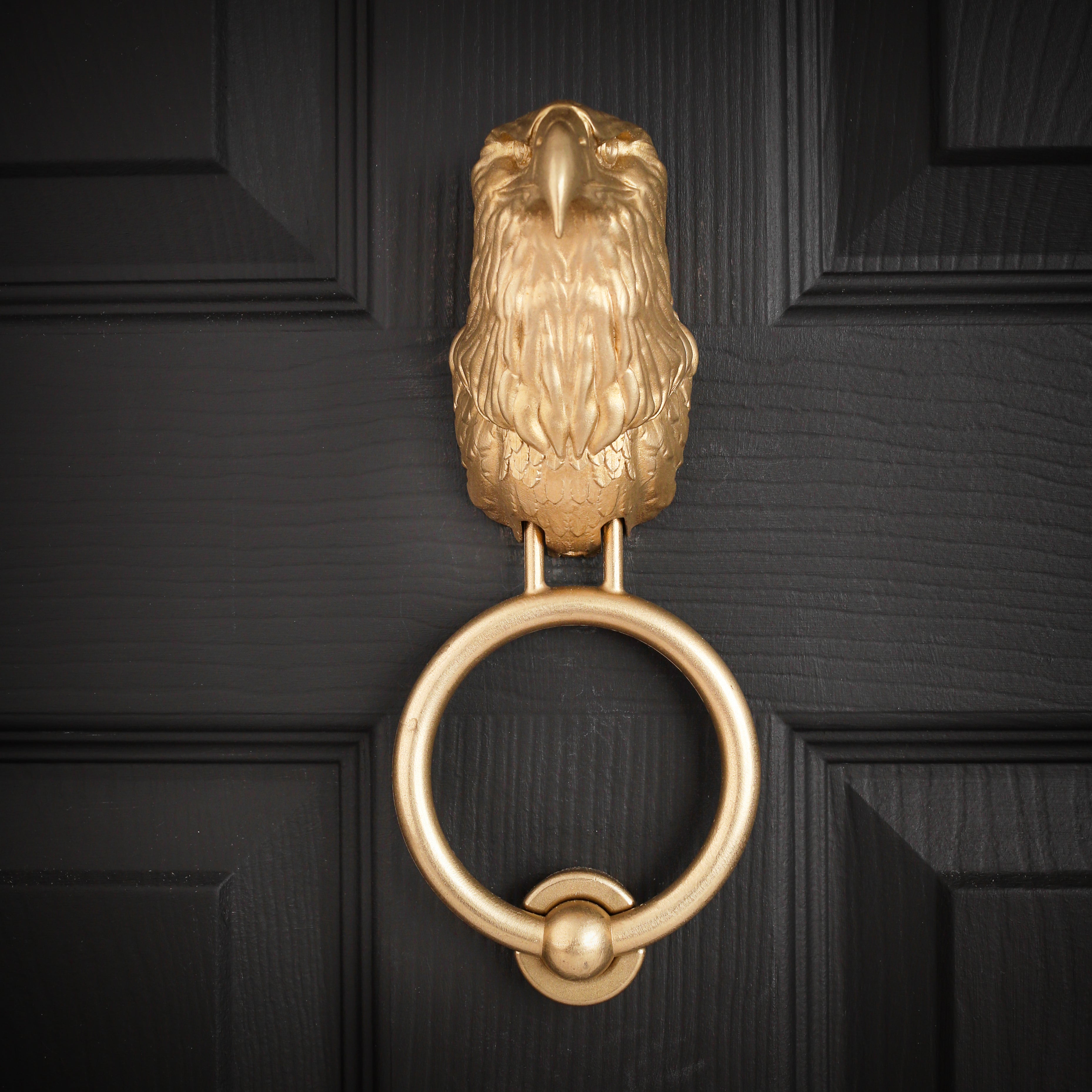 Bald Eagle Interchangeable Brass Knocker Head