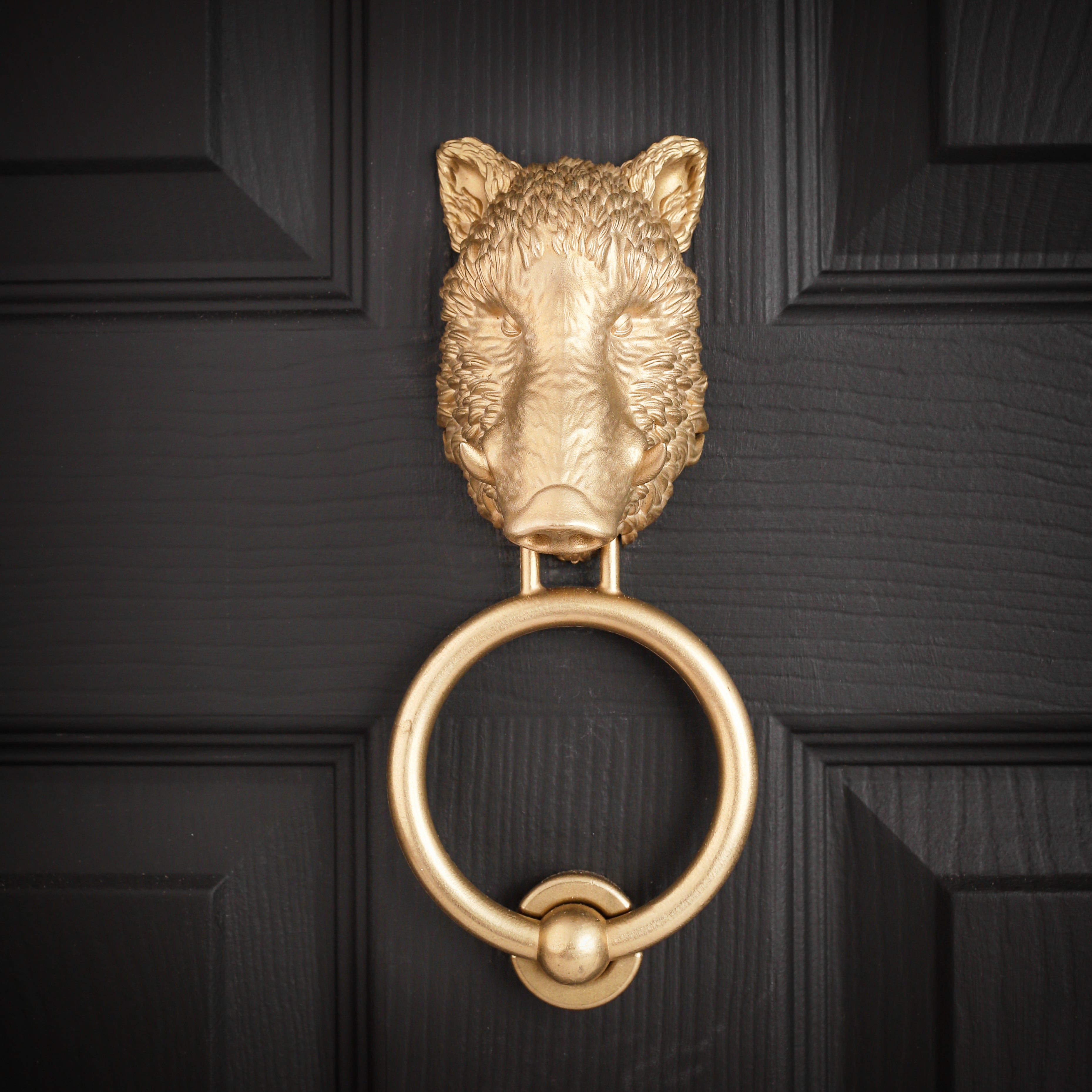 Boar Interchangeable Brass Knocker Head