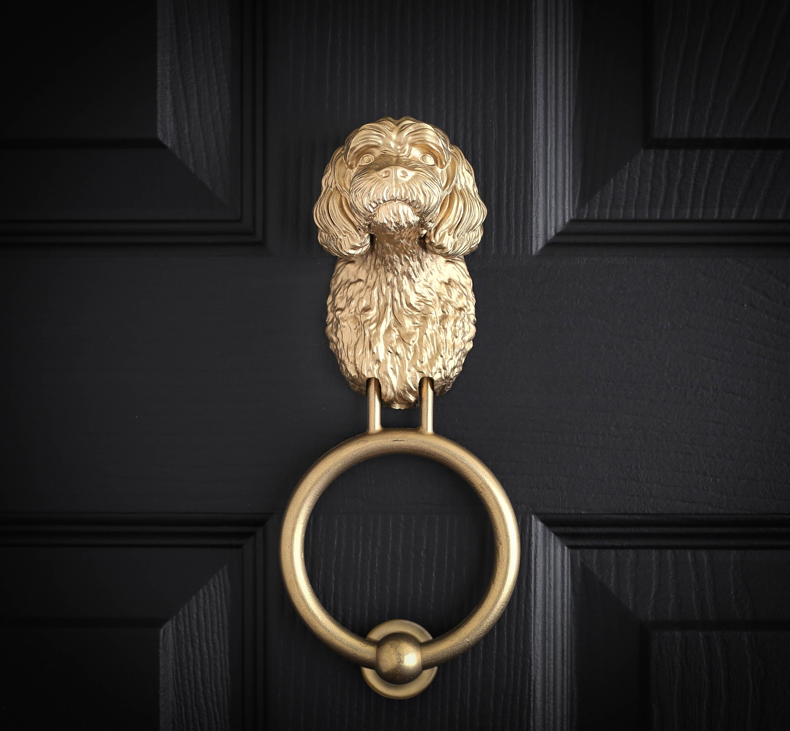 Cavapoo Brass Door Knocker