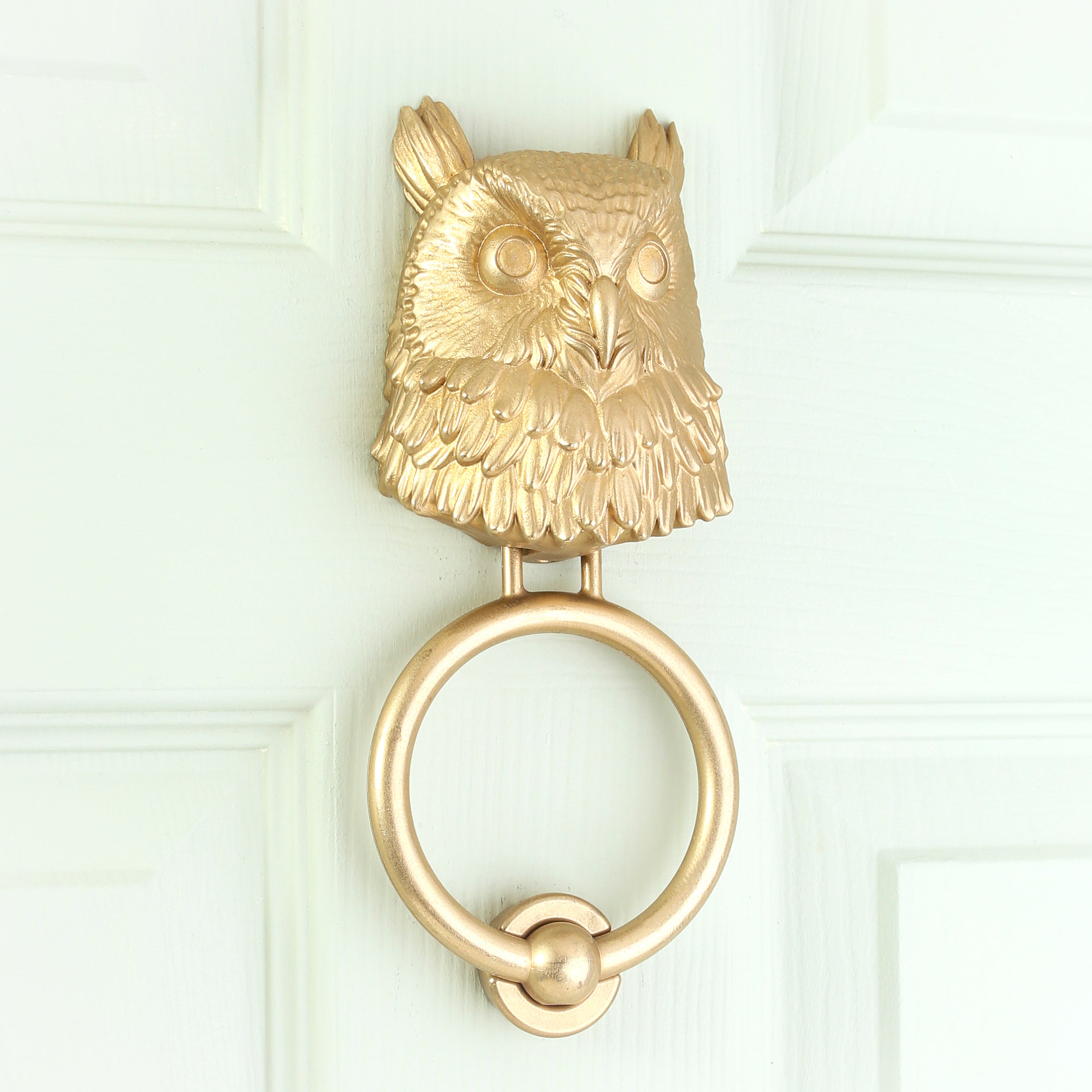 Long-Eared Owl Brass Door Knocker