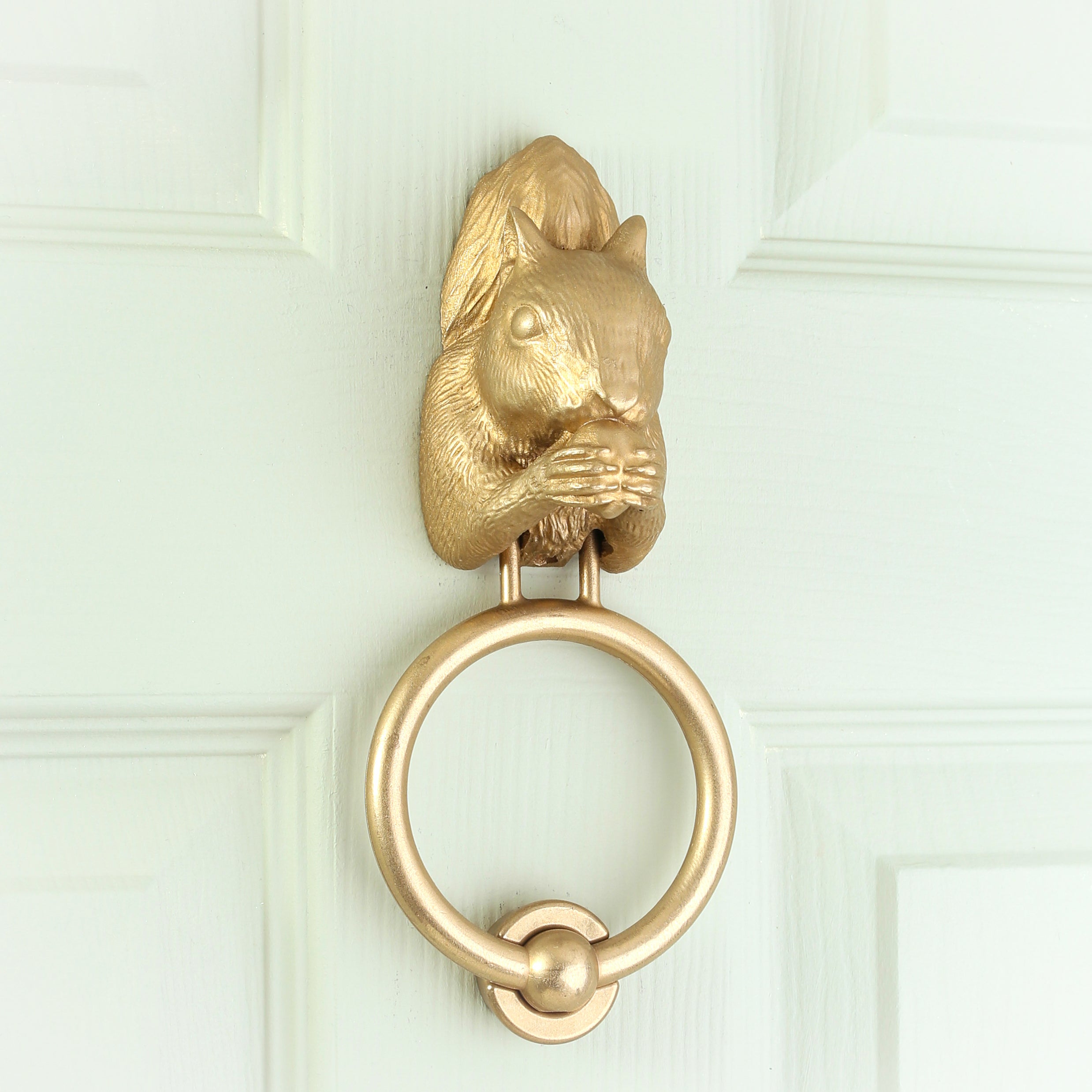 Grey Squirrel Door Knocker