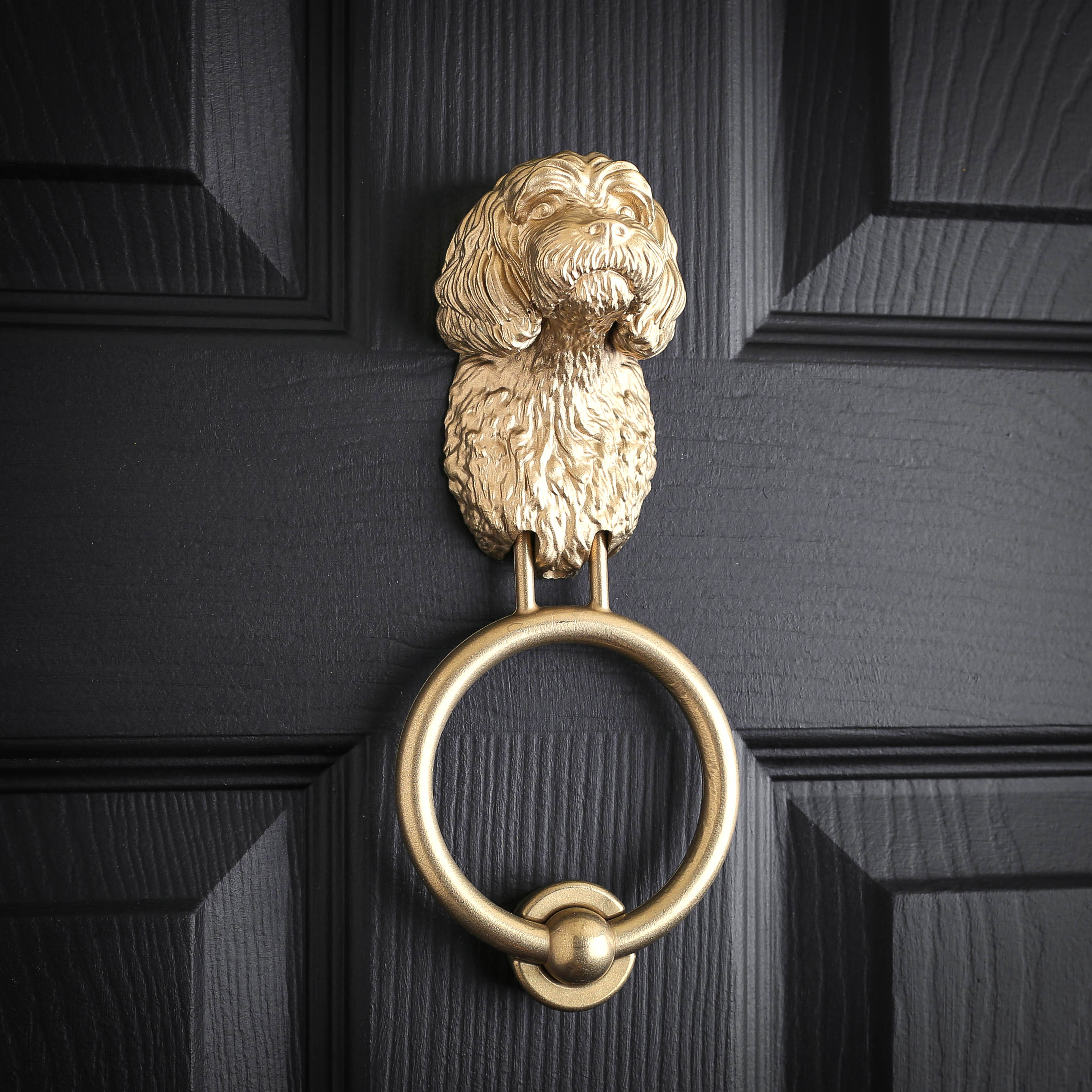 Cavapoo Brass Door Knocker