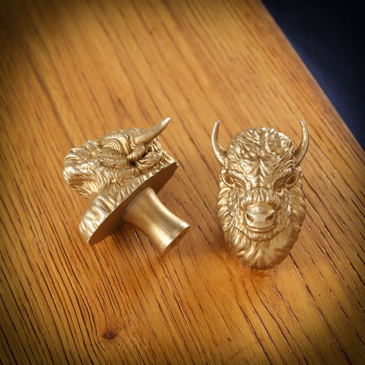 Bison (European) Brass Drawer Handle