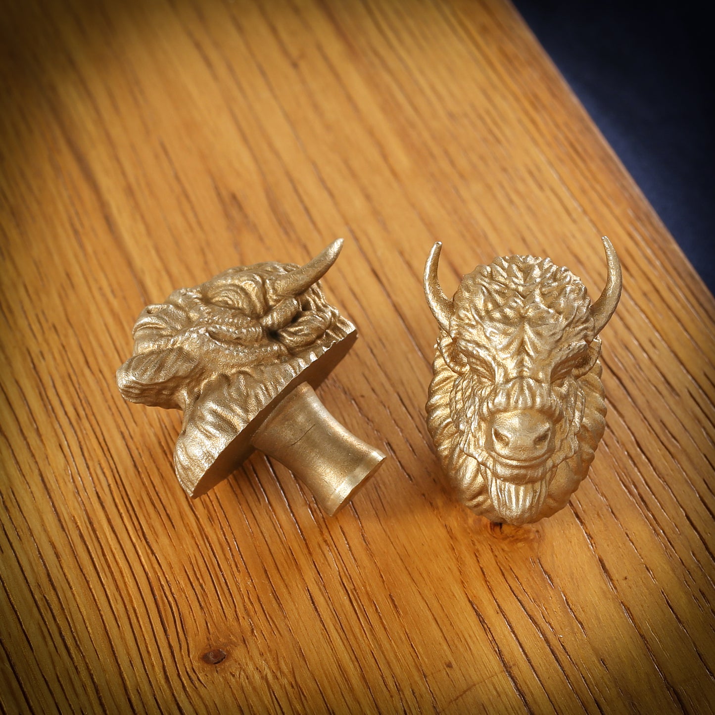 Bison (American) Brass Drawer Handle