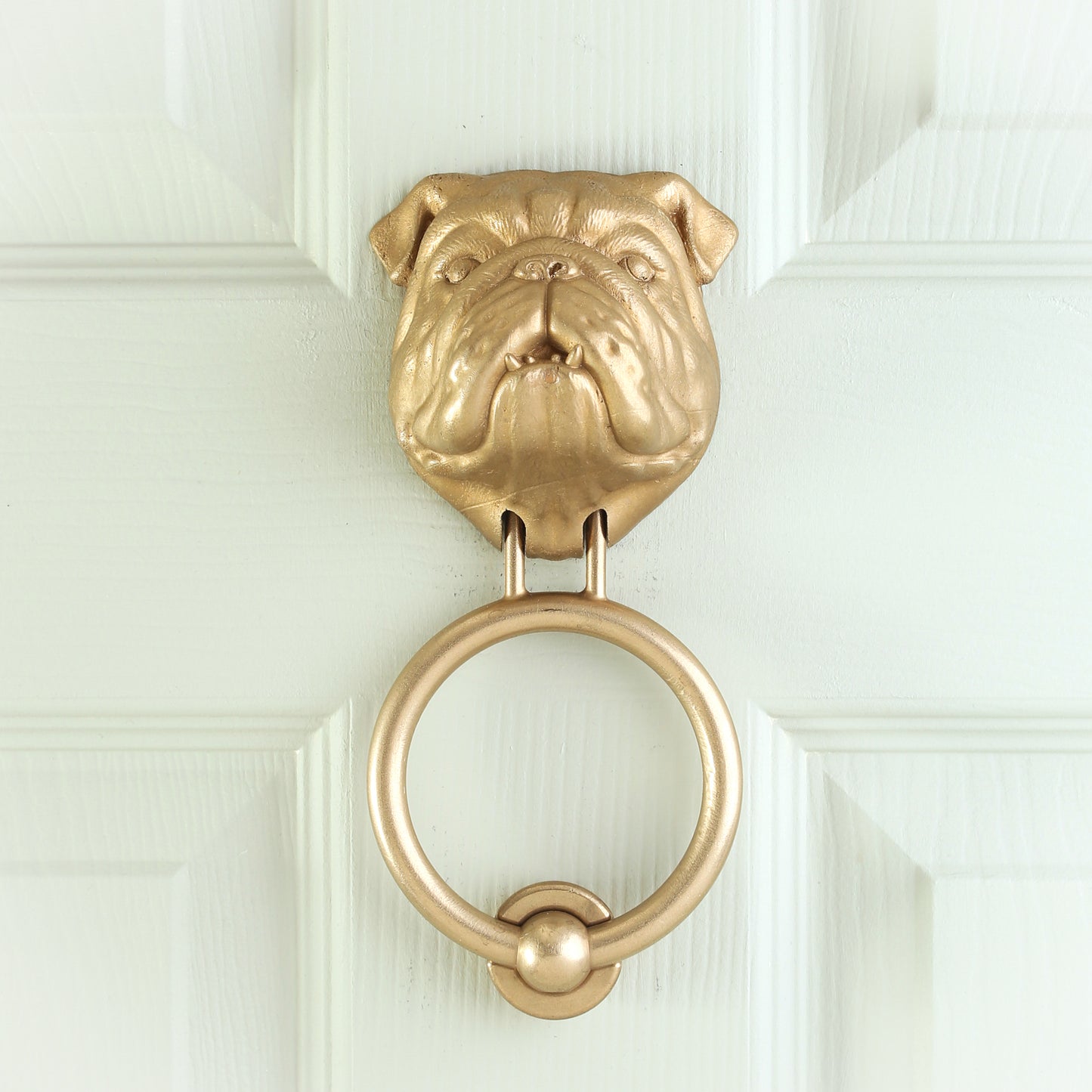 Bulldog Door Knocker