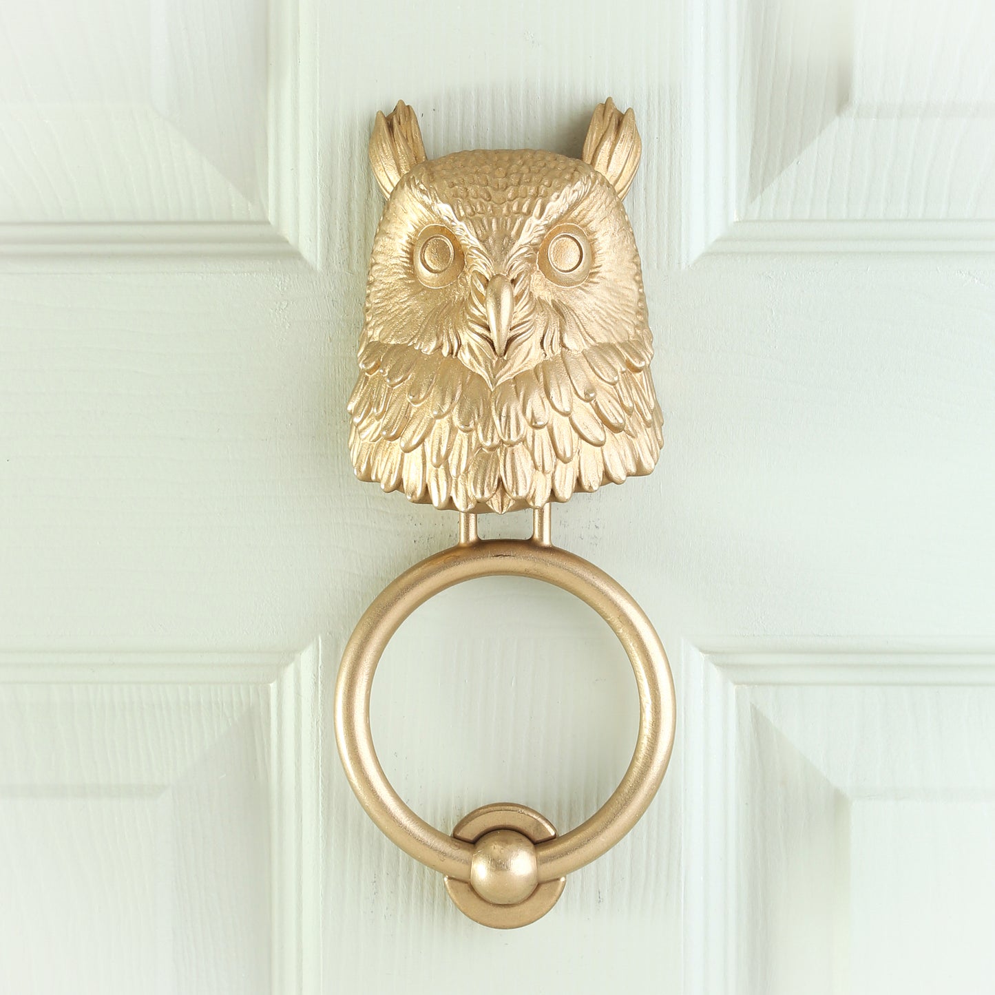 Owl Door Knocker