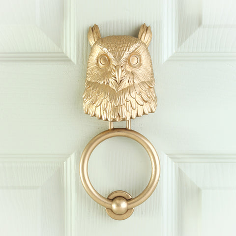 Long-Eared Owl Brass Door Knocker