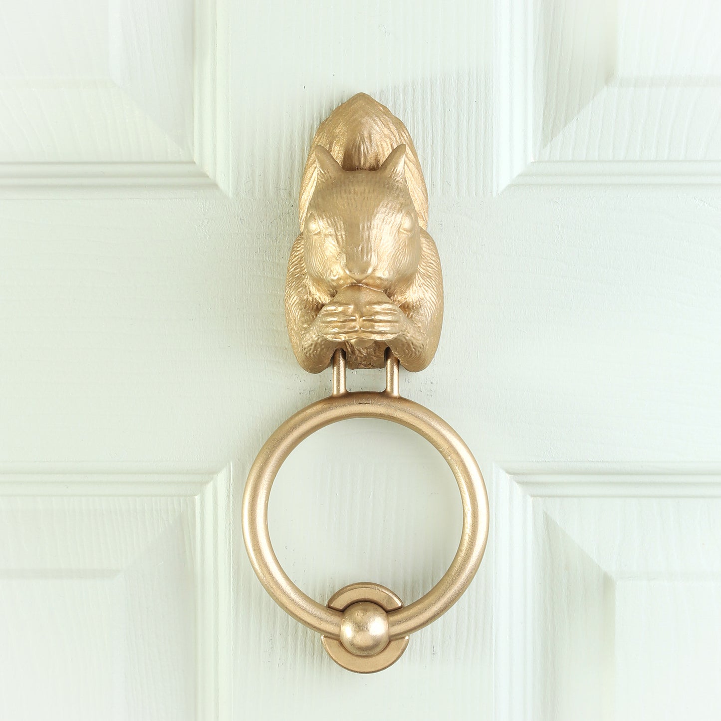 Grey Squirrel Door Knocker