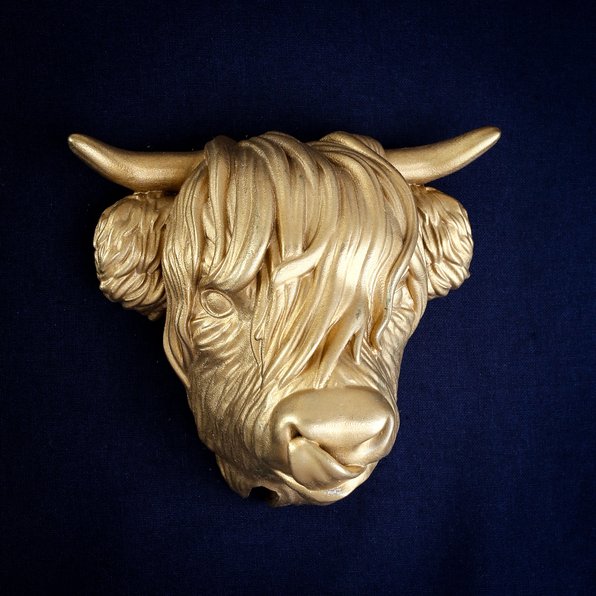 Highland cow interchangeable door knocker head with her tongue out, long fringe and sweeping horns, cast in Yorkshire