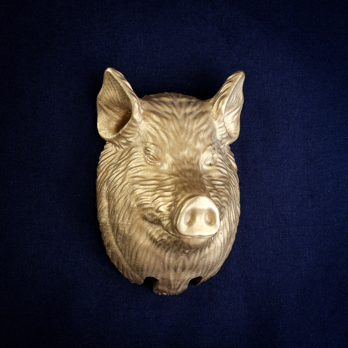 Yorkshire Pig Head