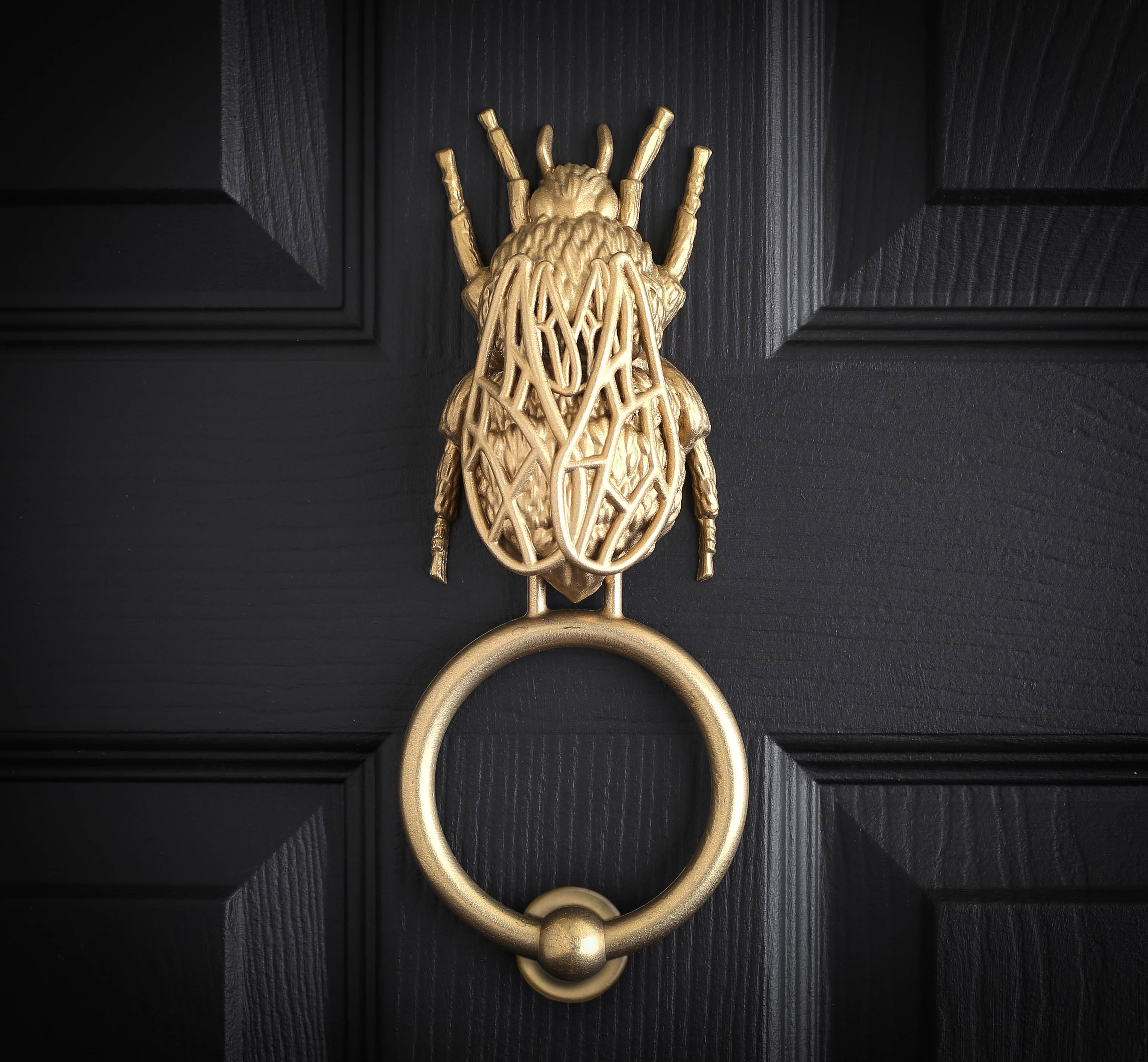 Bee brass door knocker on a black door, seen straight on.