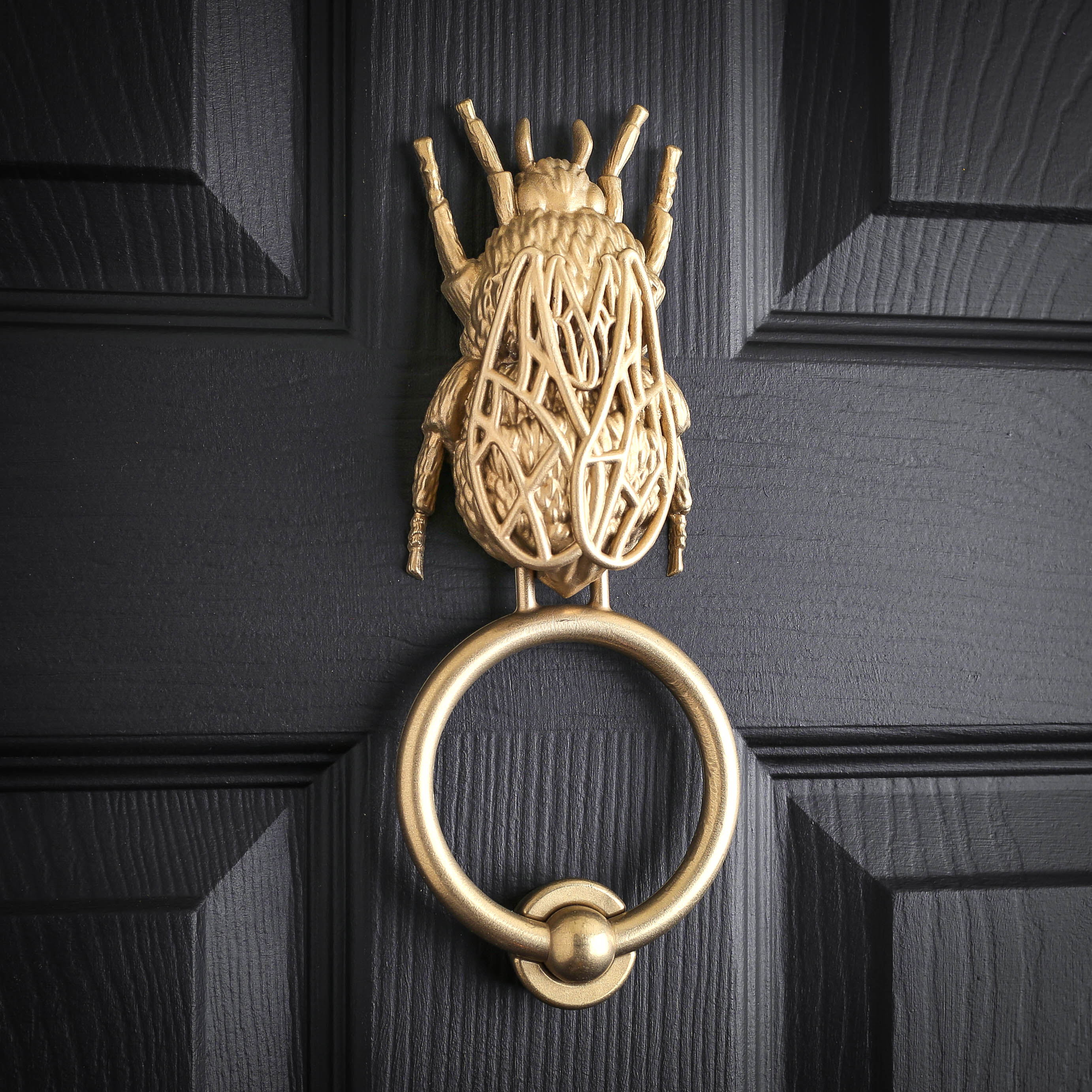 Bee brass door knocker on a black panelled door, lattice wings raised over the body and a round ring below.