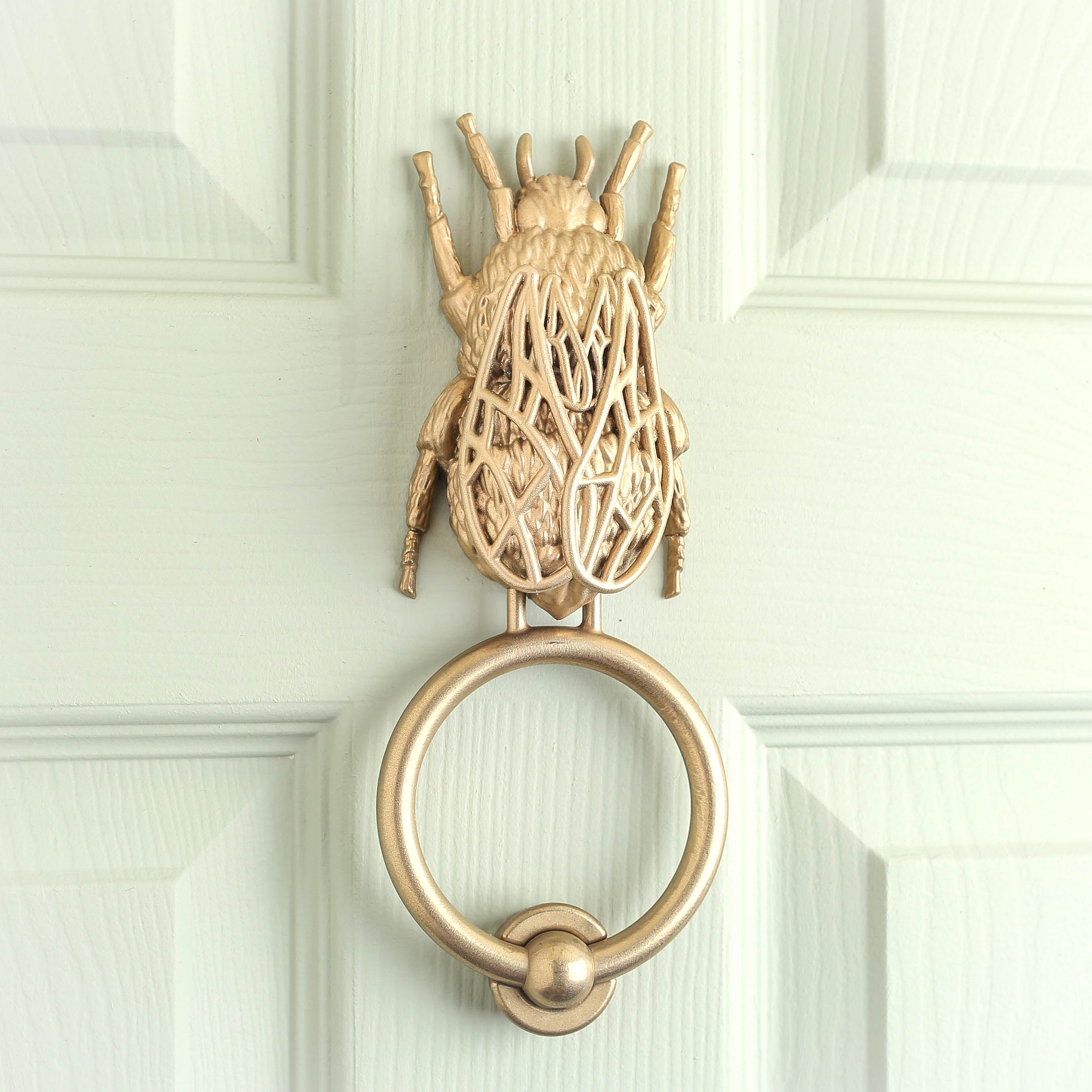 Bee brass door knocker on a pale green door, close on the lattice wings.