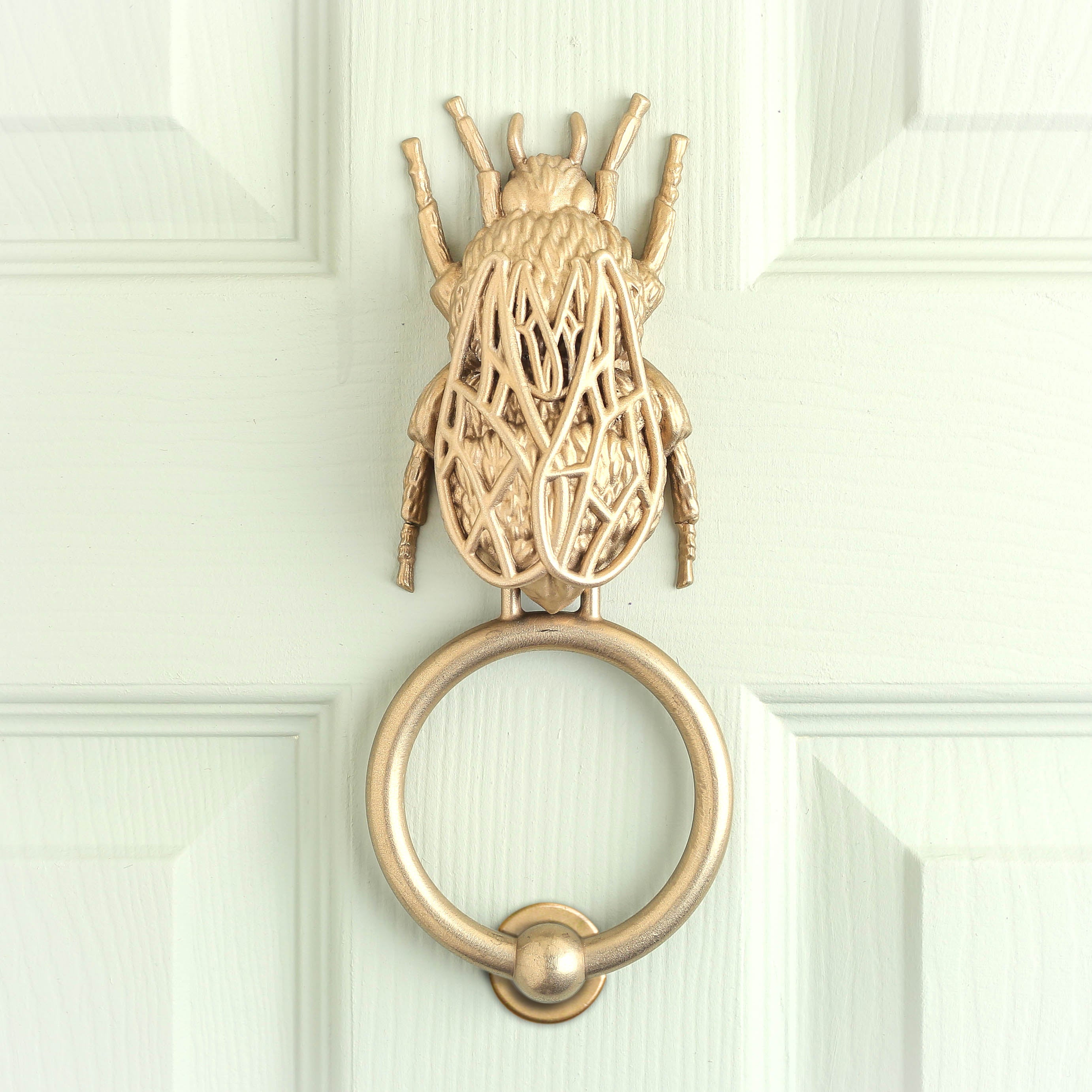 Bee brass door knocker on a pale green panelled door, seen straight on.
