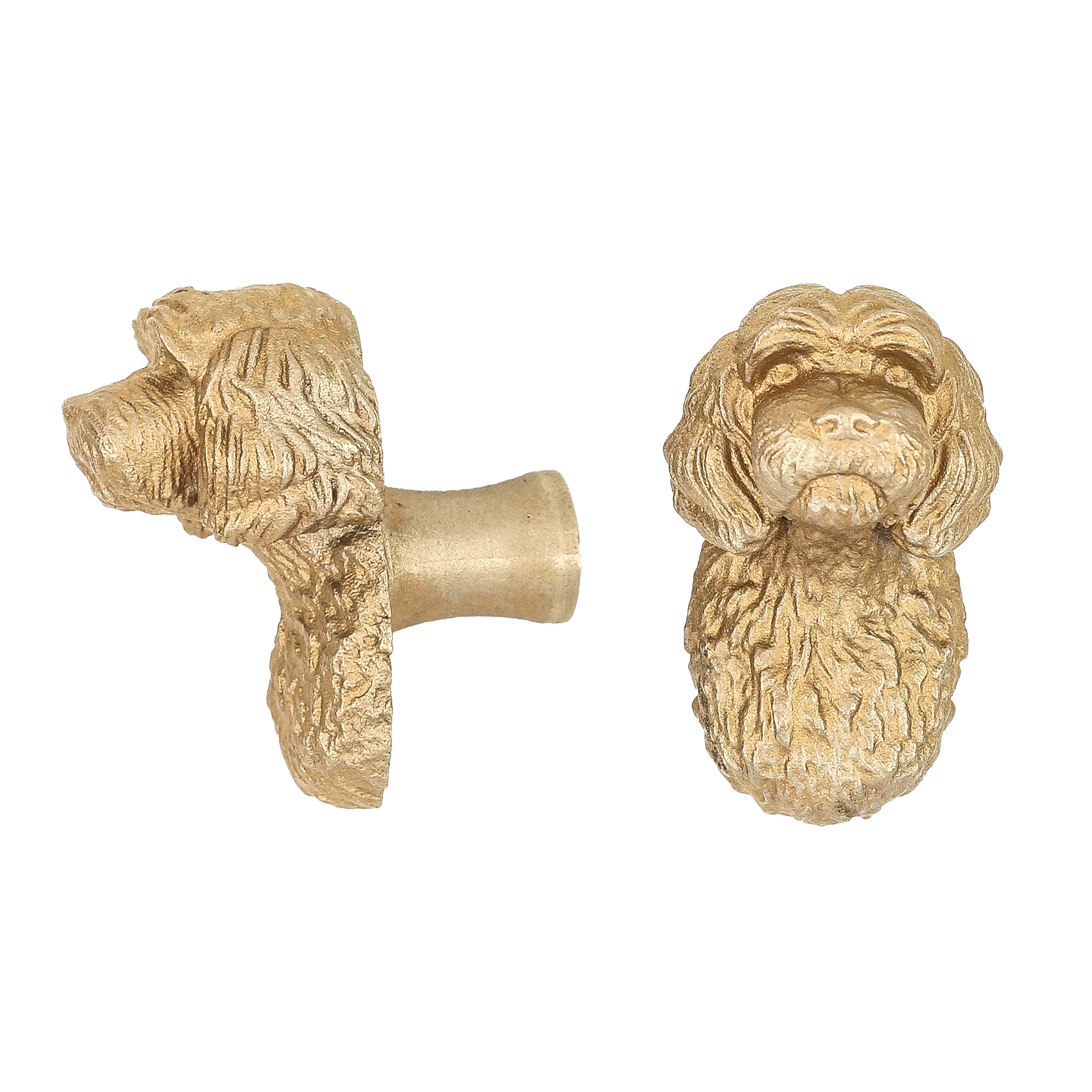 Cavapoo brass cabinet knob and coat hook, cut out on white