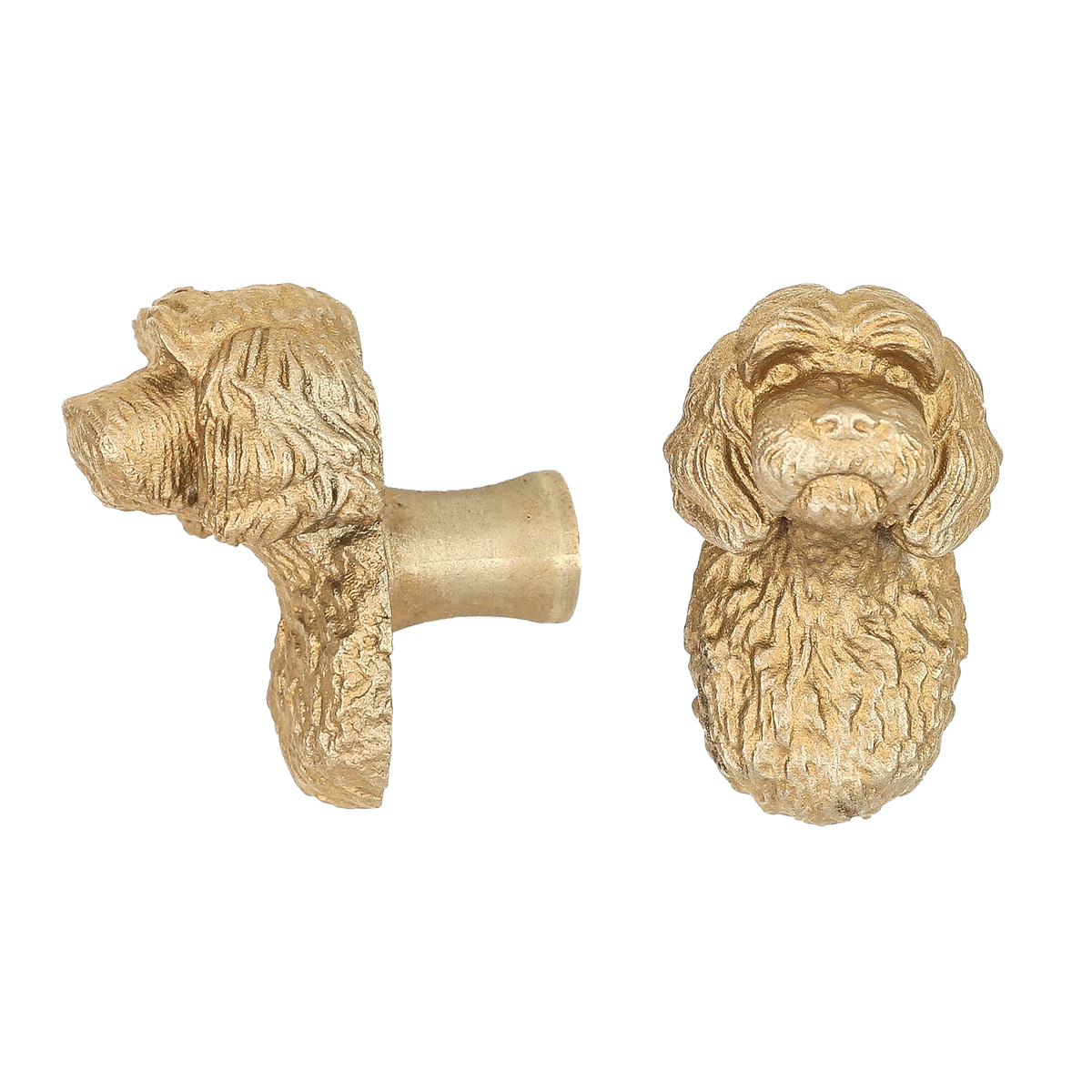Cavapoo brass cabinet knob and coat hook, cut out on white