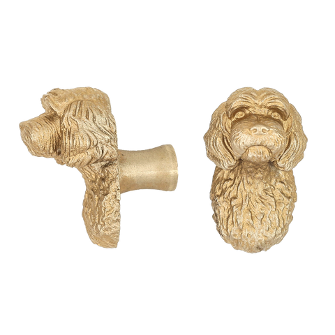 Cavapoo brass cabinet knob and coat hook, cut out on white