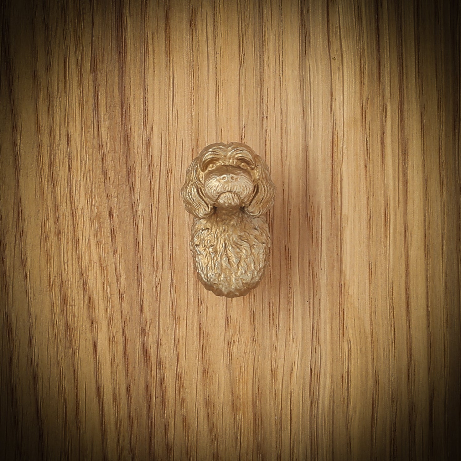 Cavapoo brass cabinet knob, front view on a wooden board