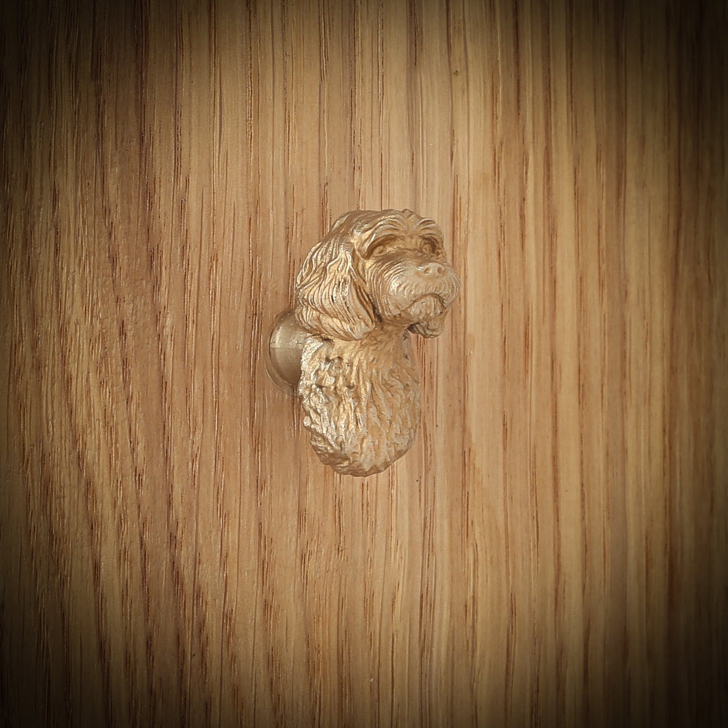 Cavapoo brass cabinet knob, side view on a wooden board