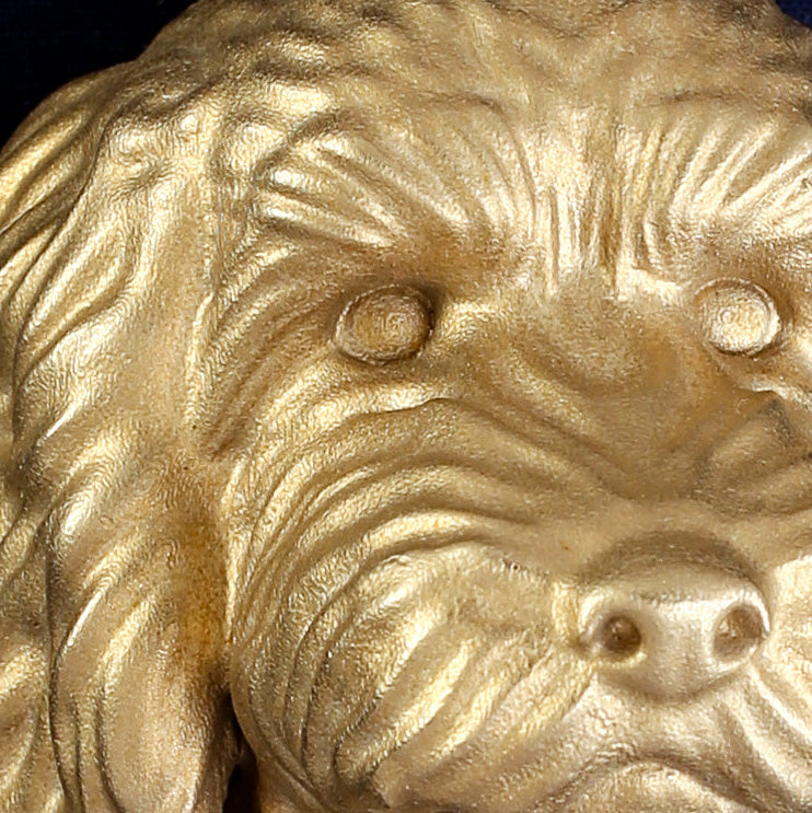 Cockapoo interchangeable head on a blue background, showing the cast coat detail