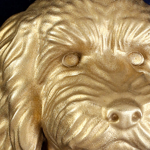 Cockapoo interchangeable head on a blue background, showing the cast coat detail